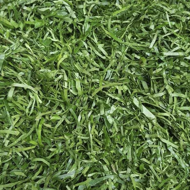 ERU LEAVE (OKAZI, FUMBWA)