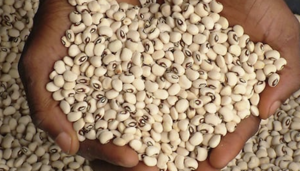 Black Eye Peas ( Moin Moin)