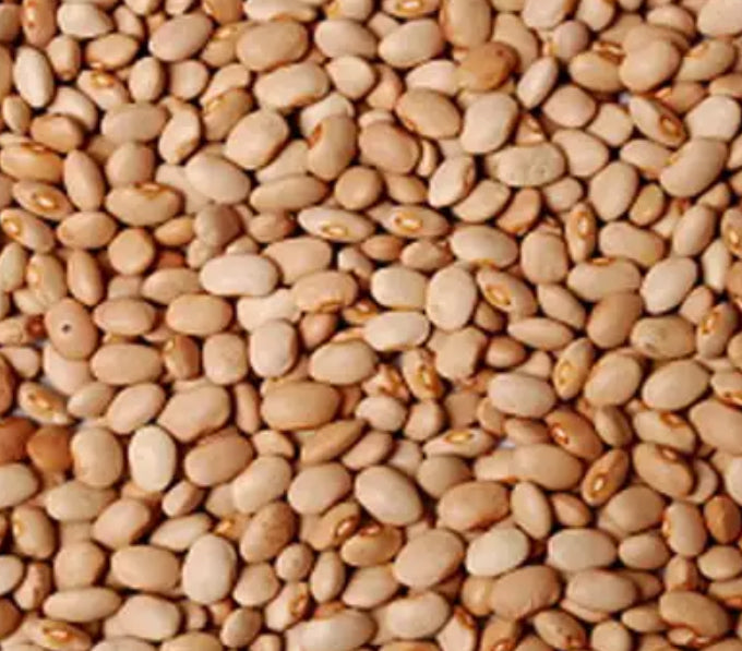 Oloye Sweet brown bean