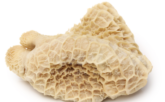 Beef Tripe (Frozen Meat) 10LB
