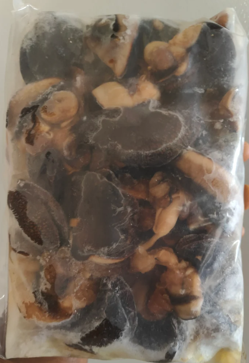 African Snail
