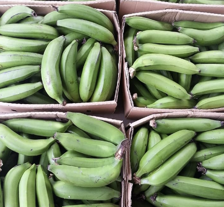 MATOOKE (GREEN BANANA)