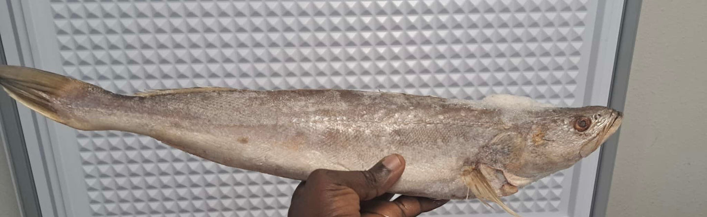 BAR Fish ( Sea Bass)